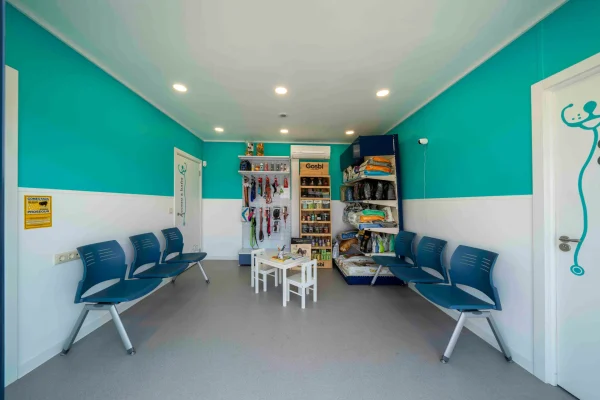 Nambroca-Clinica-Veterinaria-6-scaled