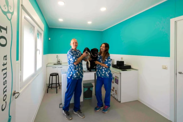 Nambroca-Clinica-Veterinaria-construcciones-especiales-scaled