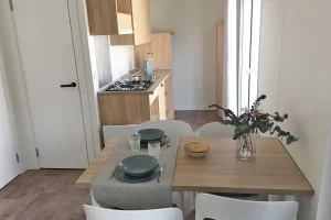 Nemesis_766 silvernest4