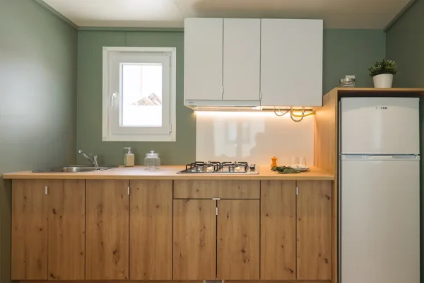 boradouble863nature_11