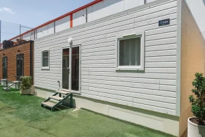 boradouble863nature_14