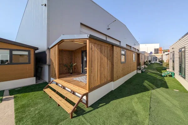 borasunset863_bambu-03 copia